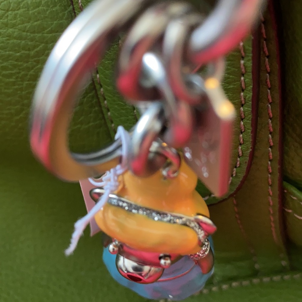 Gorgeous Coach x Disney, Cinderella fob 🌺 - Picture 8 of 9